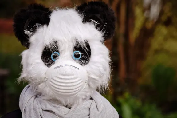 Kazino Fairground Slots Atbalsts